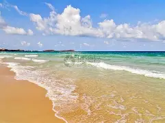 九游平台官网 - 海滨山猫队读秒绝平河套雄鲨队，足球邀请赛上演耐力碾压对手！宿敌对话再升级