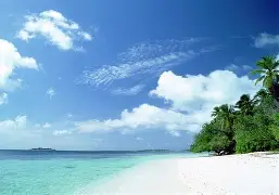  海滨山猫队读秒绝平河套雄鲨队，足球邀请赛上演耐力碾压对手！宿敌对话再升级